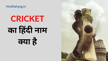 cricket ka hindi name
