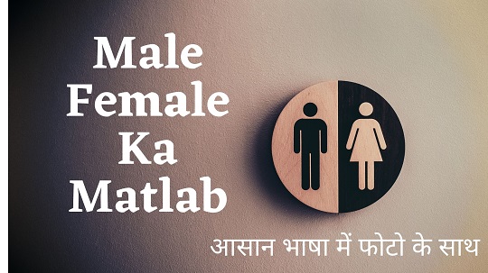 Male Female Ka Matlab in Hindi