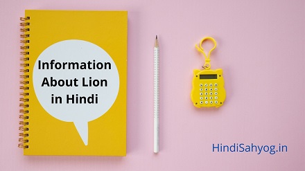 Information About Lion in Hindi