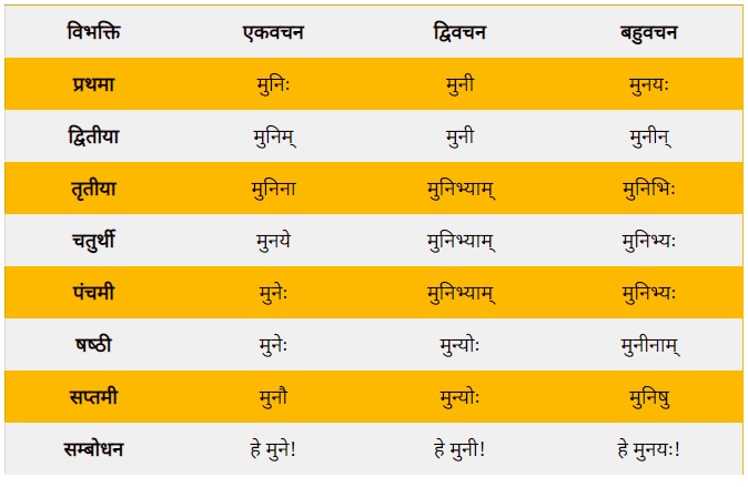Shabd Roop of Muni in Sanskrit