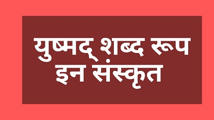 Yushmad shabd roop in sanskrit