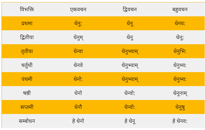 Dhenu shabd roop in Sanskrit
