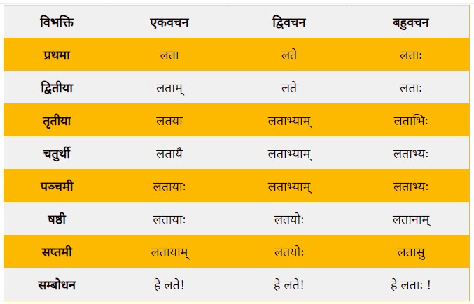 Lata Shabd Roop in Sanskrit