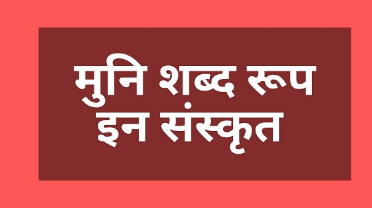 Shabd Roop of Muni in Sanskrit