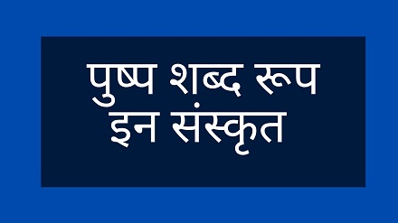 Pushp ka shabd roop in sanskrit