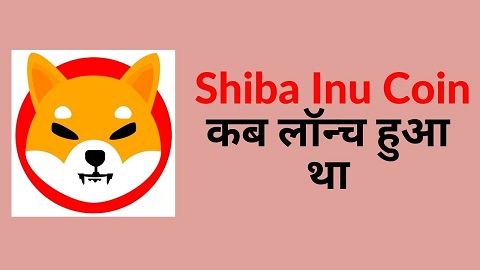 Shiba Inu Coin Kab Launch Hua Tha