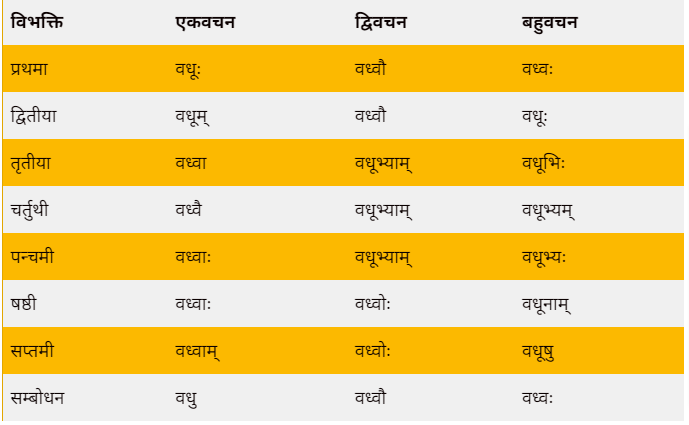 vadhu shabd roop in sanskrit